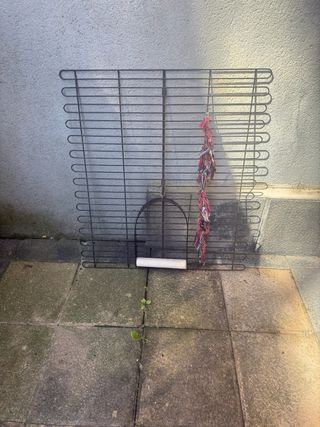 Jaula Grande Para Loros y Guacamayos