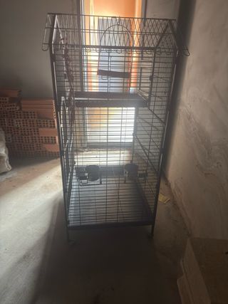 Jaula Grande Para Loros y Guacamayos