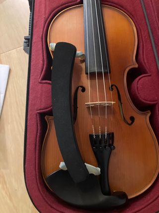 Violín Dollfer 4/4 + almohadilla + sordina