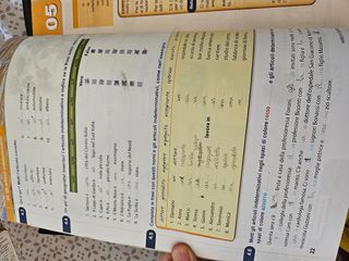 Diccionario Collins italiano+libro texto