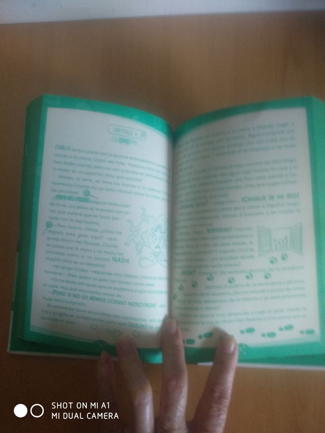 Libro The Crazy Haacks