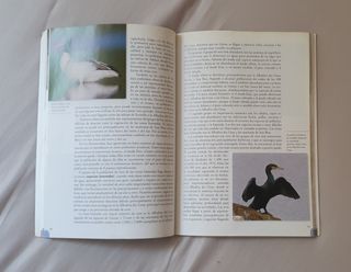 Las aves de Menorca
