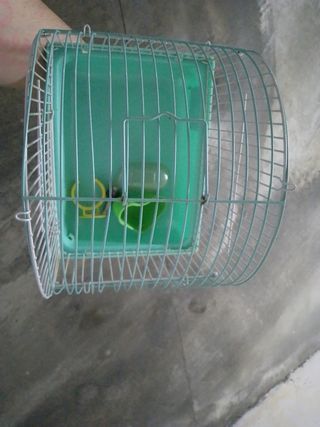 Jaula hamster
