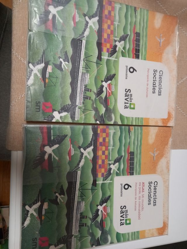 Ciencias Sociales.6Primaria.S.M