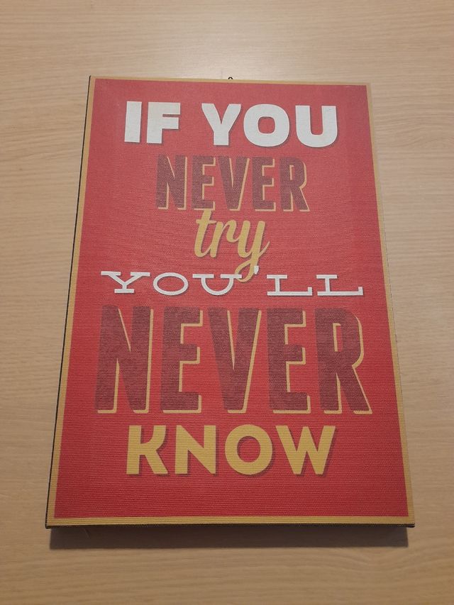 Quadro tela 24x35 cm "never"