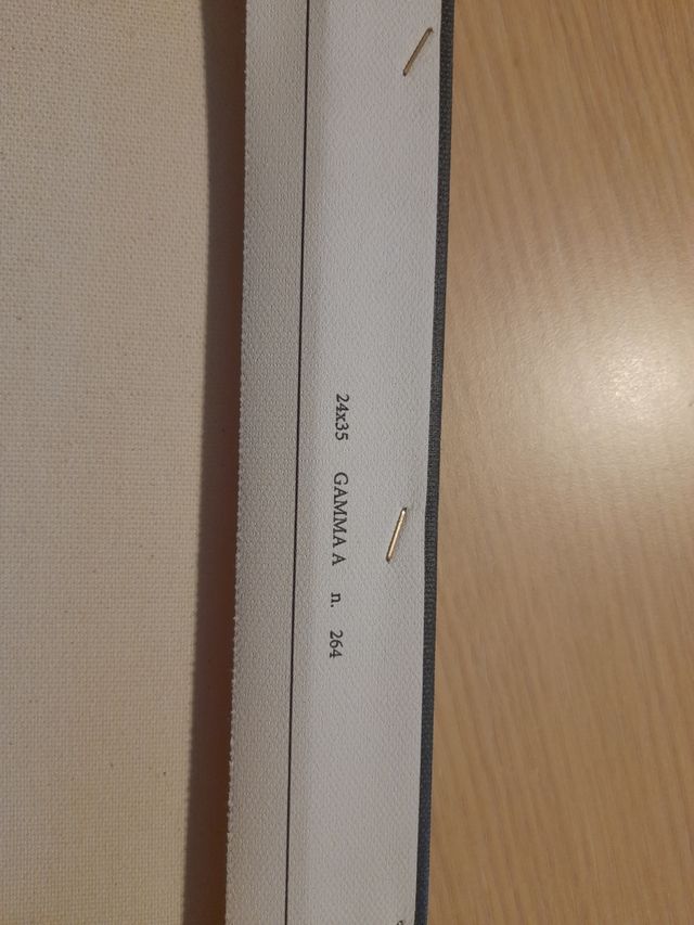 Quadro tela 24x35 cm "never"