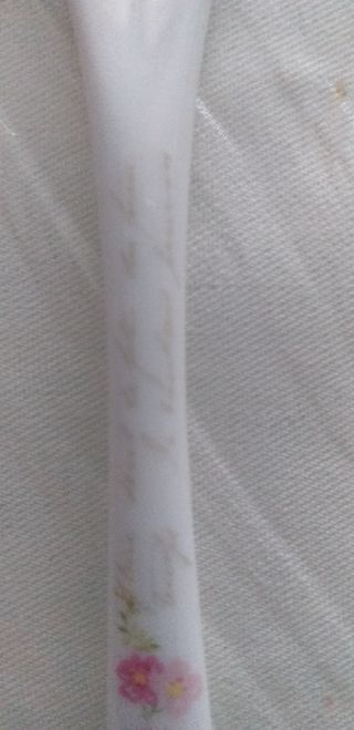 Cucchiaini di porcellana