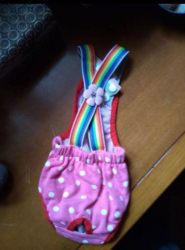 Braguita y pañales Chihuahua-perros mini