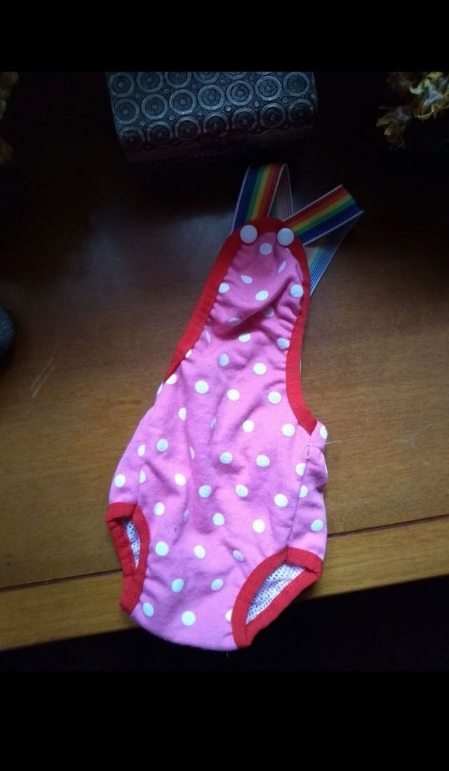 Braguita y pañales Chihuahua-perros mini