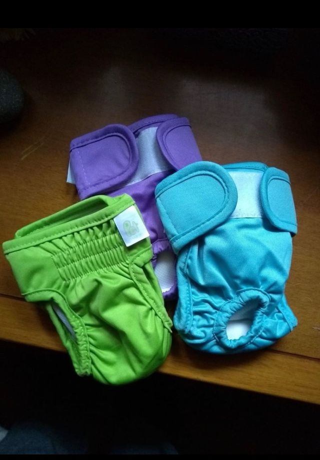 Braguita y pañales Chihuahua-perros mini