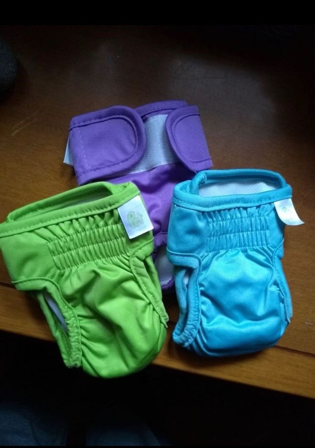 Braguita y pañales Chihuahua-perros mini