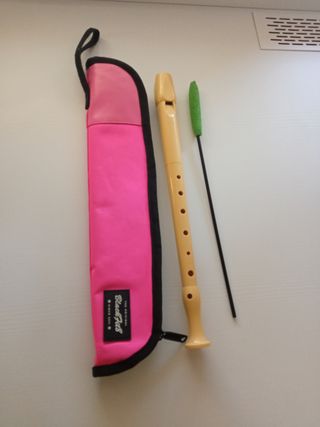 Flauta dulce con funda