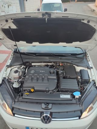 Volkswagen Golf VII