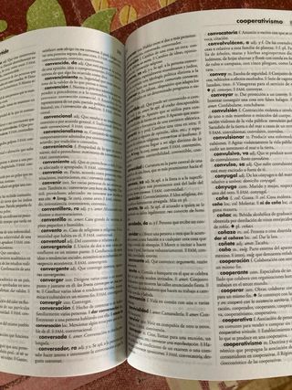diccionario lengua española
