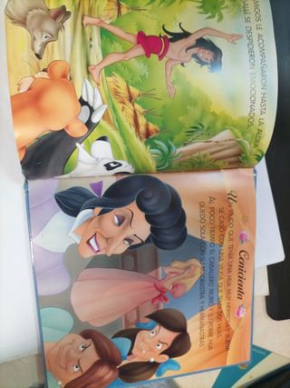 Cuentos clásicos Cenicienta El libro de