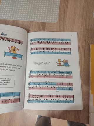 Il musigatto