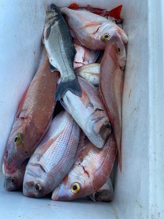 SALIDAS DE PESCA málaga Marbella