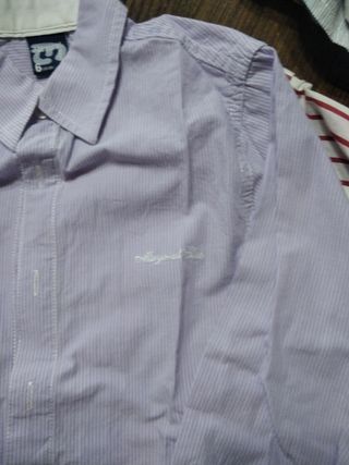 Camisa