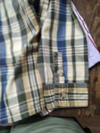 Camisa