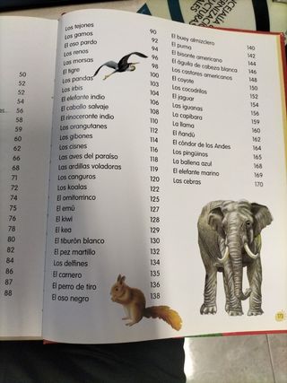 Animales del mundo