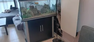 Acuario 200 litros con mueble