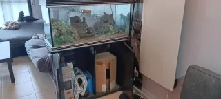 Acuario 200 litros con mueble