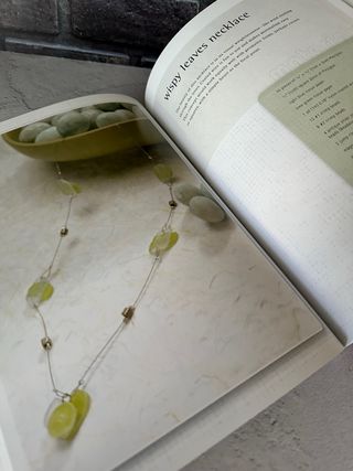 Libro “ Plexiclass”