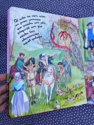 lote libros cuentos Susaeta