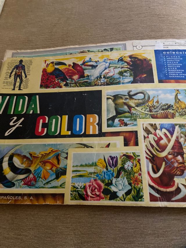 Album cromos Vida y color