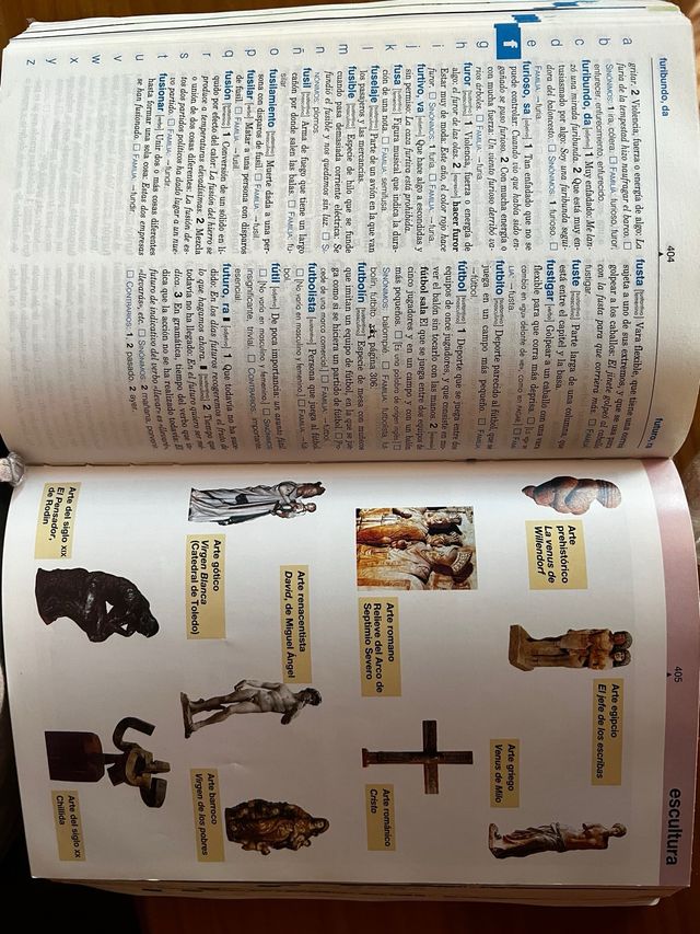 Diccionario lengua española