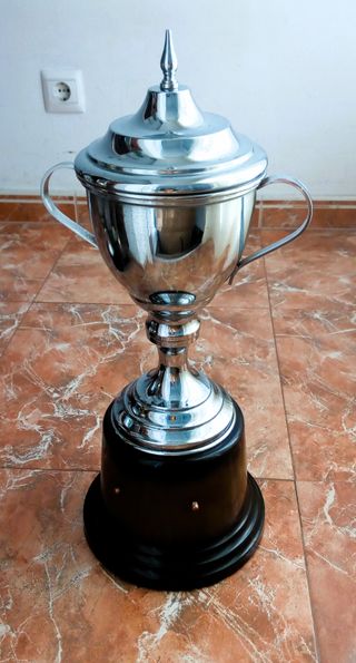 COPA 9 DECORACIÓN TROFEO ADORNO DEPORTE REGALO