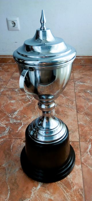 COPA 9 DECORACIÓN TROFEO ADORNO DEPORTE REGALO