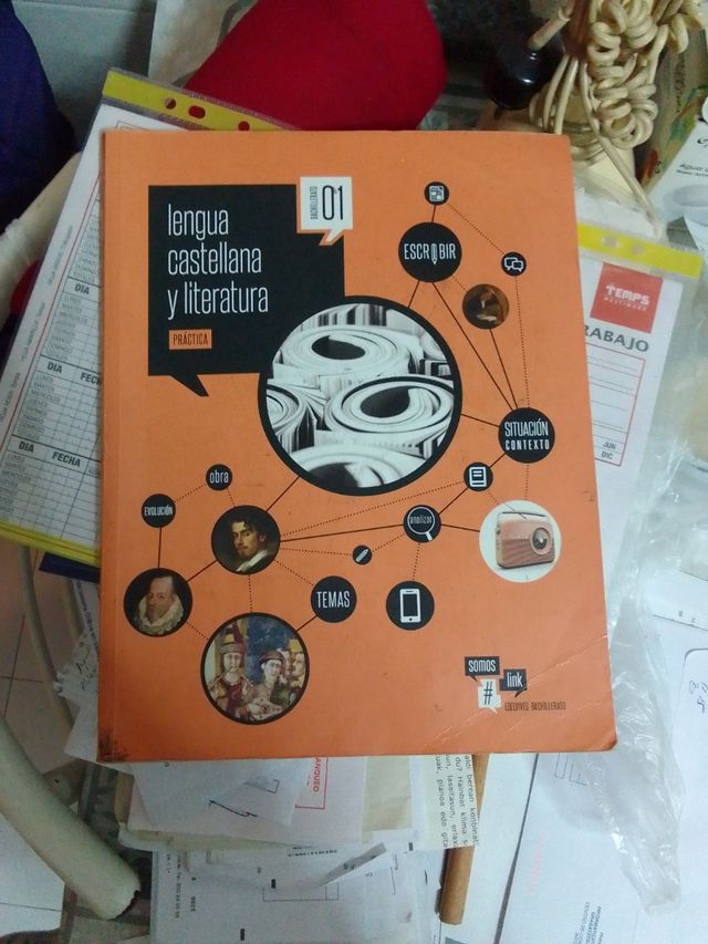 Lengua castellana y literatura 1. Bachi