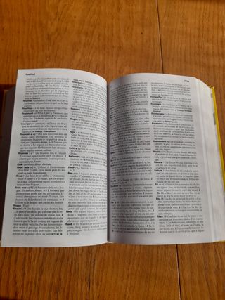 Diccionari bàsic de la llengua catalana