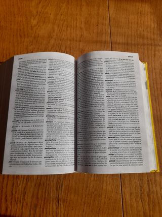 Diccionari bàsic de la llengua catalana