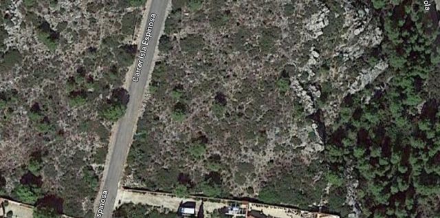 alquiler parcela 2750m2  en El Pinar de Alcossebre