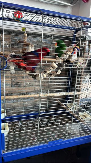 jaula grande loro o guacamayo pawhut de lujo