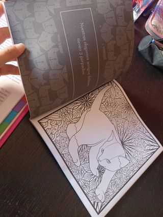 Libro para colorear. Ojete de gato