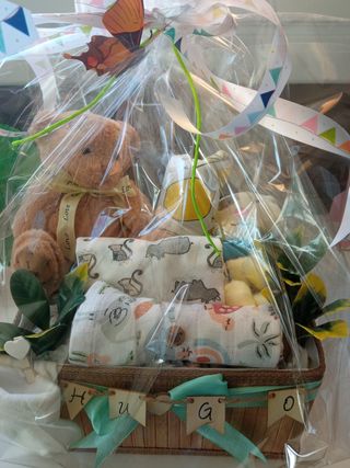 Cesta bebe selva 