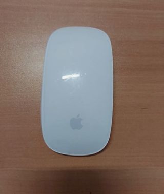 Raton apple magic mouse