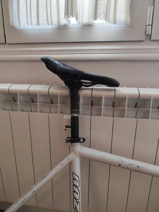 Cuadro Raseza (Talla 54)