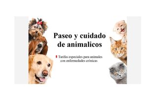 Paseo y cuidado de animalicos