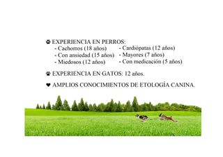 Paseo y cuidado de animalicos