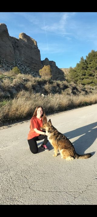 paseador de perros