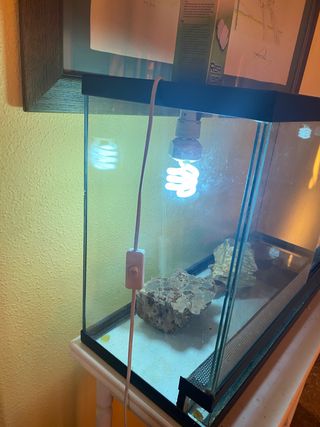 terrario para reptiles con placa térmica