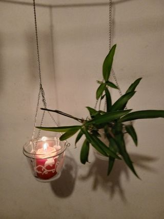 2 Portavasi/candele da appendere