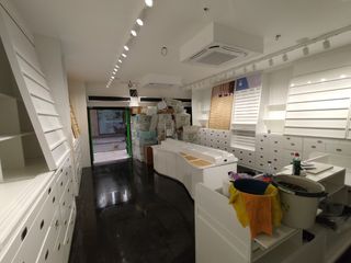 Alisar Paredes, Pintura interior/exterio