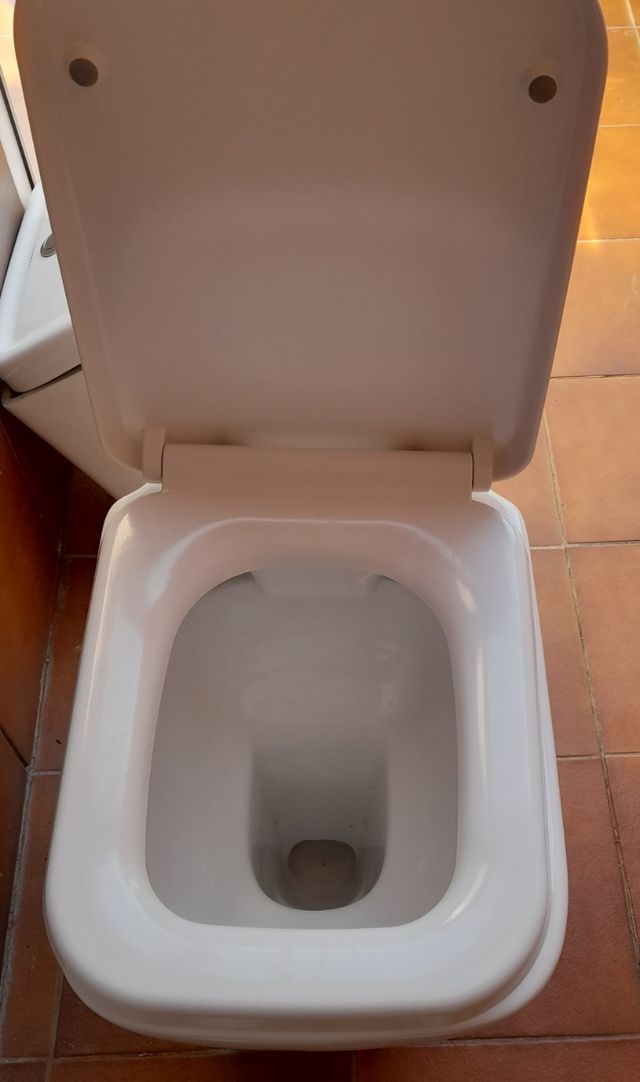 Sanitario minusválido