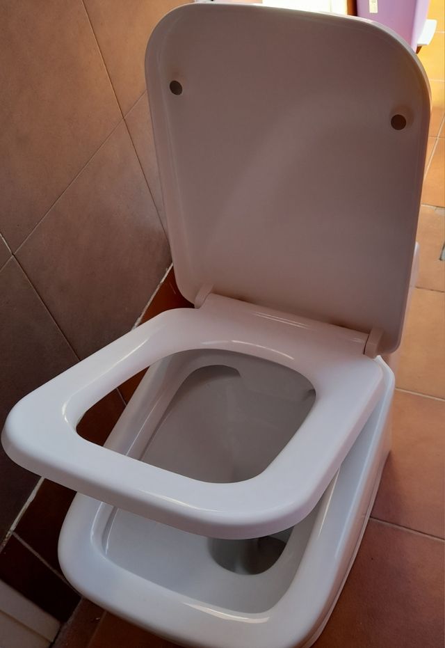 Sanitario minusválido