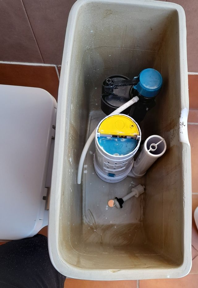 Sanitario minusválido